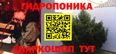 синтетический гашиш Сланцы