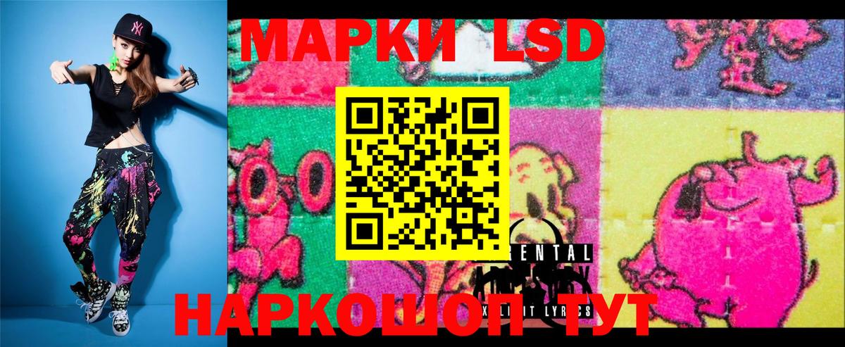 Псилоцибиновые грибы Сланцы