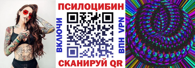 купить наркотик  Сланцы  Галлюциногенные грибы GOLDEN TEACHER 