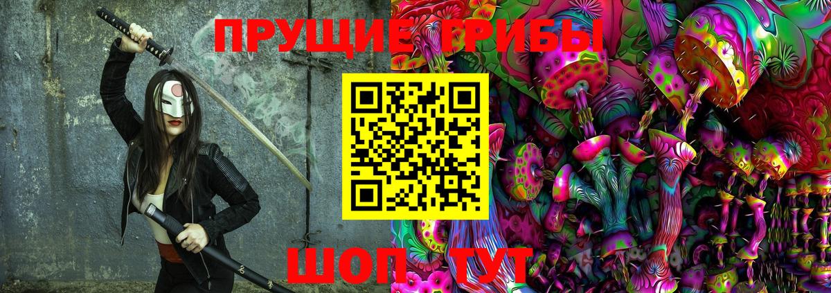 Сланцы  Галлюциногенные грибы Psilocybe  Вход с VPN 